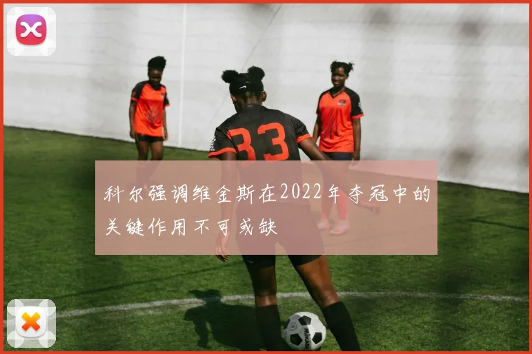 科尔强调维金斯在2022年夺冠中的关键作用不可或缺