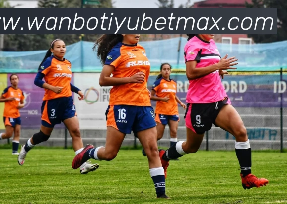 万博体育APP 封面图